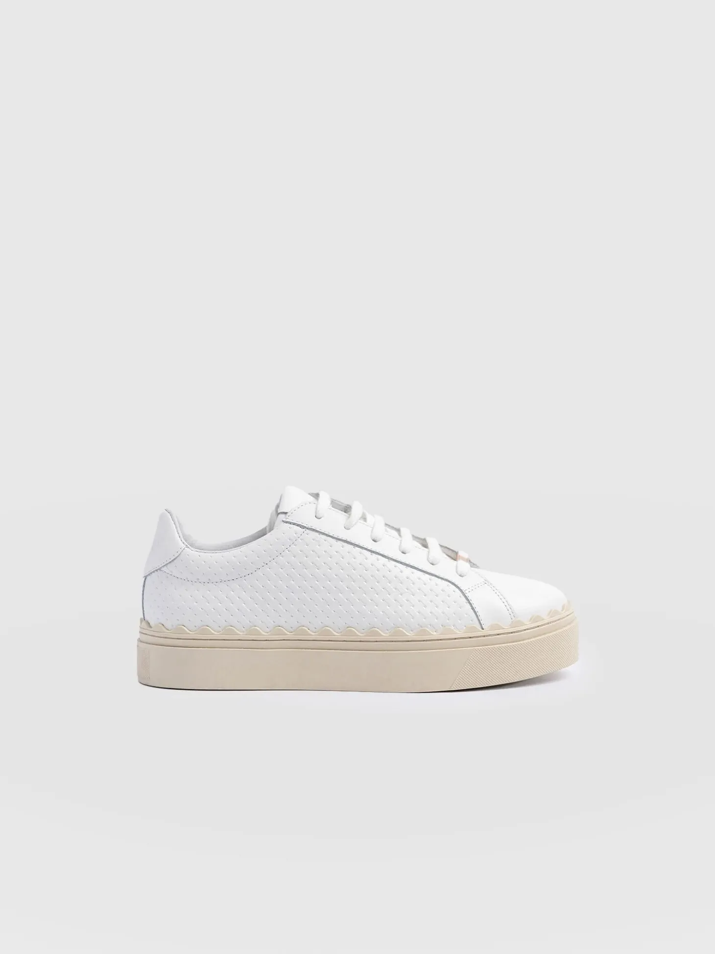 Brook Scallop Sneaker - White